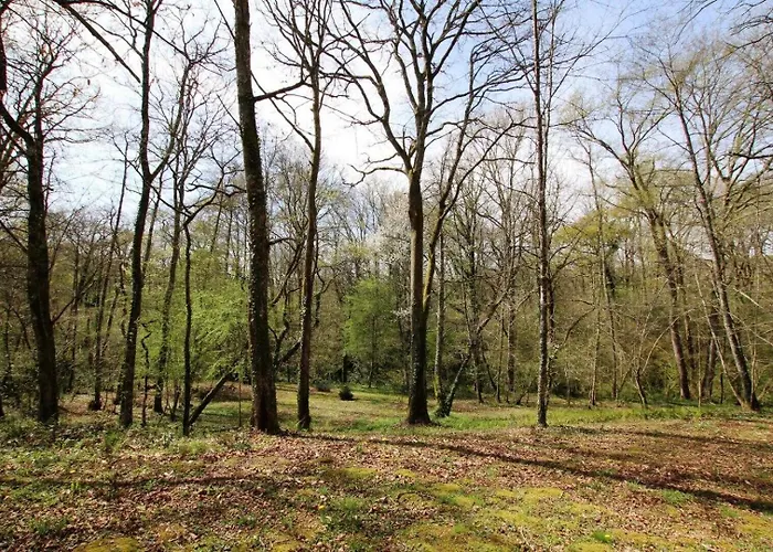 度假居 Chez Estecahandy Esquiule